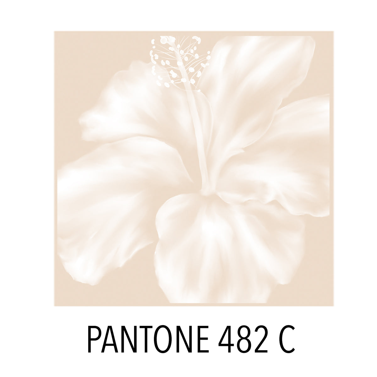 MayDay22Pantone_1200x1200.jpg?