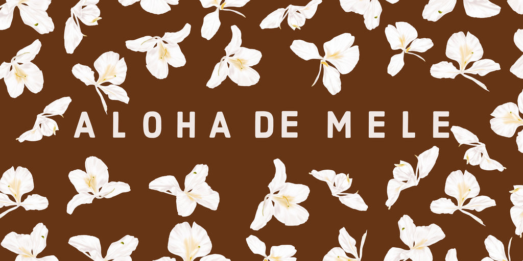 Sand Free Towel - “Kope Ginger” - Aloha de Mele