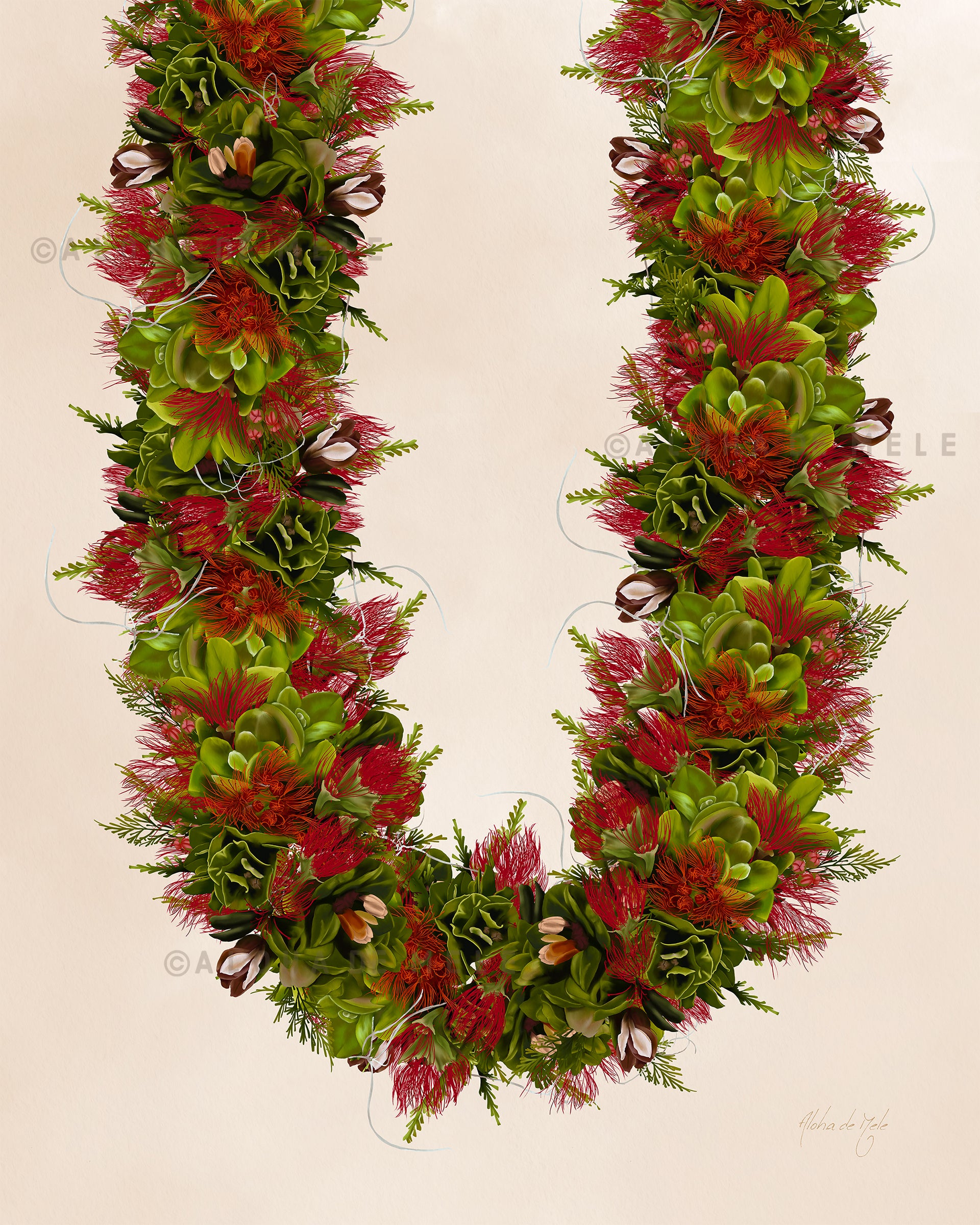 ʻŌhiʻa Lehua 25 | Aloha de Mele